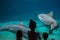 Children watching cute dolphins at Seaworld .