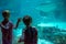 Children watching manta rays and sharks in Aquarium at Seaworld 1