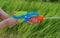 Children water gun in the hands of a boy on a background of gr