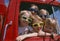 Children wearing sunglasses in red truck