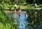 Children wild swimming in nature, in the River Chess at Chorleywood, Hertfordshire UK, during the coronavirus lockdown.