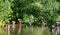 Children wild swimming in nature, in the River Chess at Chorleywood, Hertfordshire UK, during the coronavirus lockdown.