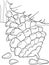 Childrens book coloring book forest bump from spruce. Conifer cone