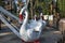 Childrens carousel with white swans. Attraction in the amusement park.