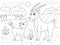 Childrens cartoon coloring book. A family of goats in a meadow.