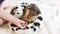 Childrens hands playing with a cute striped pet kitten