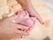 Childrens legs on moms hands. Photo of the feet of a newborn. In the arms of mother