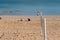 Childrens play in sand of the beach near of sea