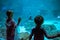 Childrens watching manta rays and sharks in Aquarium at Seaworld