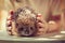 Childs hand holding wild hedgehog. Boy with pet