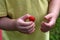 A childs hand holds a large strawberry berry