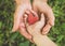 Childs hand and old hand grandmother hold heart. Concept idea of love family protecting children and elderly people grandmother