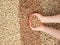 Childs hands holding wood pellets