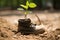 a childs shoe nurturing a young sapling