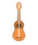 chile charango traditional