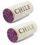 \'Chile\' Diagonal Wine Cork
