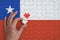 Chile flag is depicted on a puzzle, which the man`s hand completes to fold