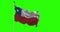 Chile national flag waving on green screen. Chroma key animation. Chilean politics illustration