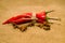 Chile peppers tied with a rope and star anise fruits on old clot