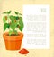 Chile Poster Plant with Sample Vector Illustration