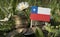 Chilean flag with stack of money coins with grass