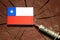 Chilean flag on a stump with syringe injecting money