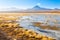 Chilean lagoon landscape, Chile