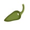 Chili green pepper vegetable, icon on isolated background concept for farmers market organic food in flat style vector illustratio