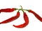 Chili Pepper Arrangement