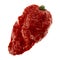 Chili Pepper Carolina Reaper