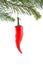 Chili Pepper Christmas Ornament