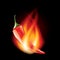 Chili pepper in fire isolated on black vector