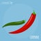 Chili pepper flat design vector icon. Flavor spices and herbs menu template collection.