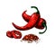 Chili Pepper hand drawn vector illustration. Vegetable artistic style object.