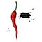 Chili Pepper hand drawn vector illustration. Vegetable object. Isolated hot spicy mexican