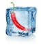 Chili pepper in ice cube