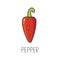 Chili pepper line vector illustration, cooking isolated icon.