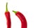 Chili pepper red part of a pod straight curved on a white background design culinary base