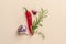 Chili pepper, spicy herbs and garlic - composition on a light beige background