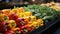 Chili in a shelf, Colorful fresh green pepper or bell pepper in display shelf ready to be sold in supermarket