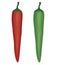 Chili and spicy chili have color green chilies and red chilies vector and illustration