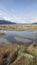 Chilkat Estuary in Fall