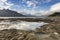 Chilkat Estuary Reflections