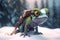 Chillaxin\\\' in the Snow: Cool Photorealistic Cartoon Chameleon with Snow Goggles