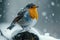 Chilled birdwatching bliss Winter wildlife enthusiasts capturing stunning avian scenes