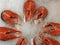 Chilled salmon steaks lie in ice on a store counter. Red fish meat in a seafood supermarket.