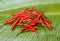 Chilli on banana leaf ,thailand