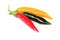 Chilli (Capsicum frutescens L.)