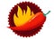 Chilli with fire logo