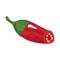 chilli pepper vegetable half